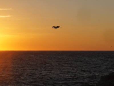 Recognizing Indigenous Peoples’ Day in New England