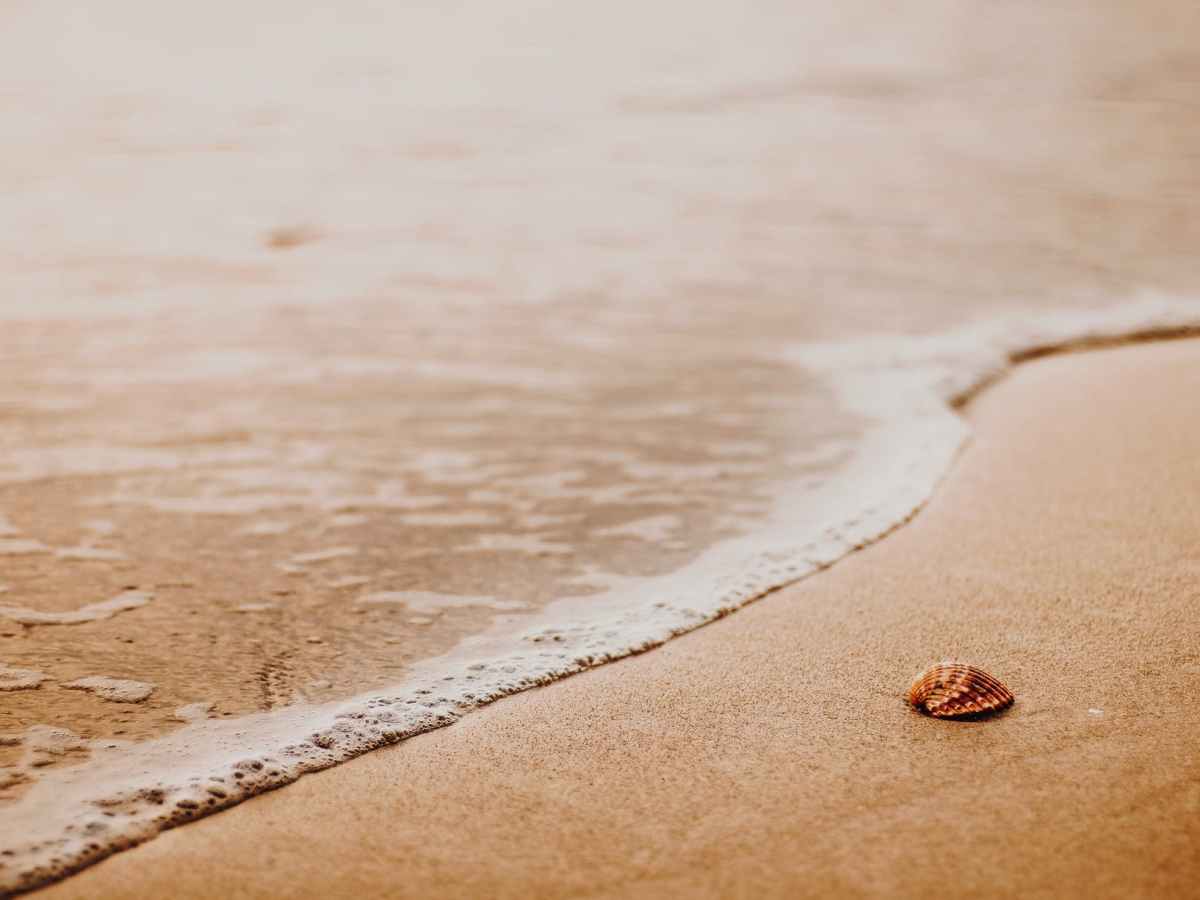 Columbus and the “New” world: from some primary sources (or as close as we can get to them)