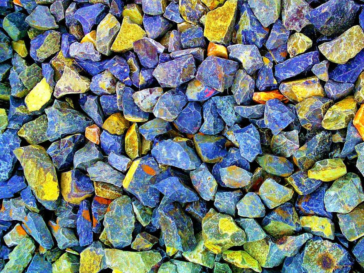 Template for writing your City Council and/or rep about IPD